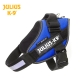 Julius K9 Pettorina IDC Power Harnesses Blu