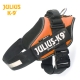 Julius K9 Pettorina IDC Power Harnesses Arancione