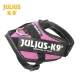 Julius K9 Pettorina IDC Power Harnesses Rosa