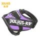 Julius K9 Pettorina IDC Power Harnesses Viola