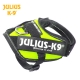 Julius K9 Pettorina IDC Power Harnesses Neon Verde